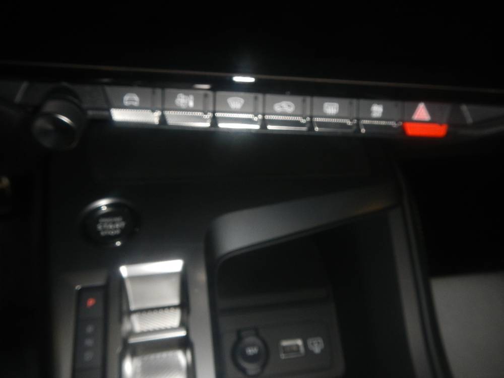 DSCN4219